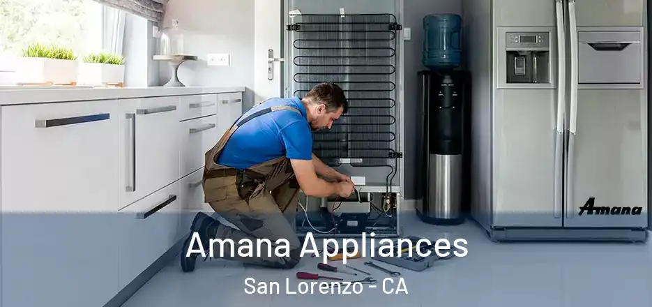  Amana Appliances San Lorenzo - CA