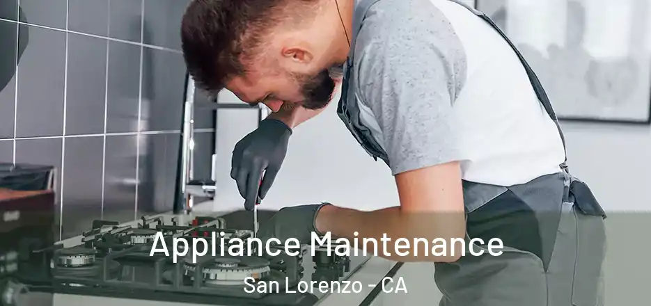 Appliance Maintenance San Lorenzo - CA