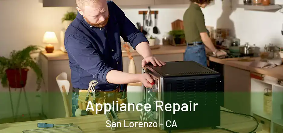  Appliance Repair San Lorenzo - CA