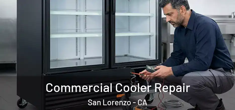  Commercial Cooler Repair San Lorenzo - CA