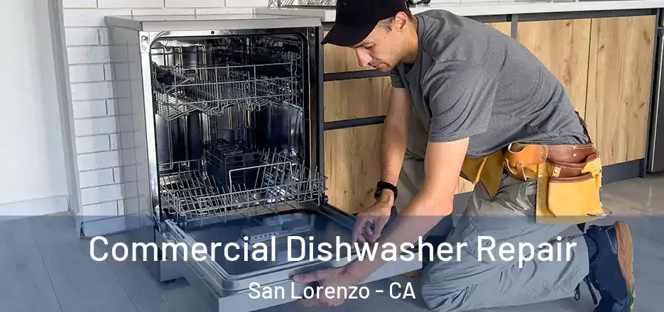  Commercial Dishwasher Repair San Lorenzo - CA