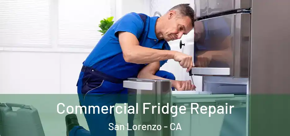 Commercial Fridge Repair San Lorenzo - CA