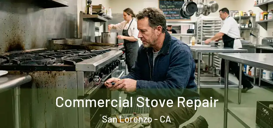  Commercial Stove Repair San Lorenzo - CA