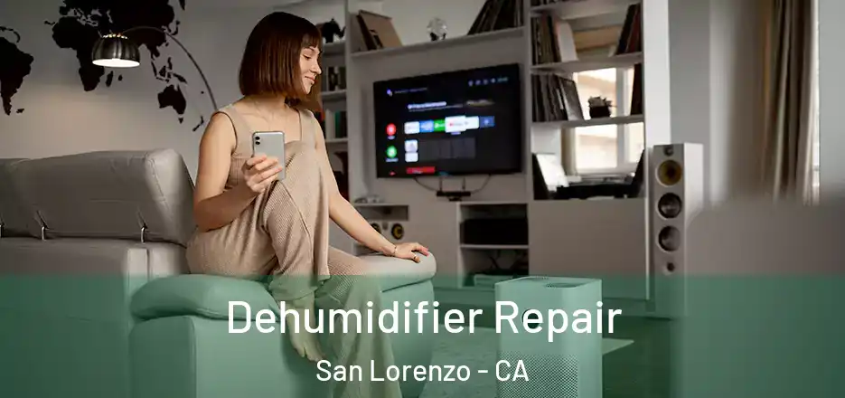 Dehumidifier Repair San Lorenzo - CA
