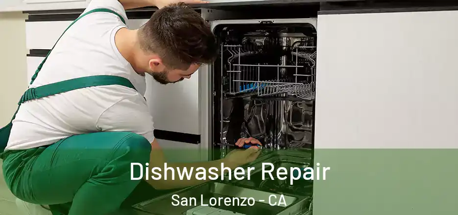 Dishwasher Repair San Lorenzo - CA
