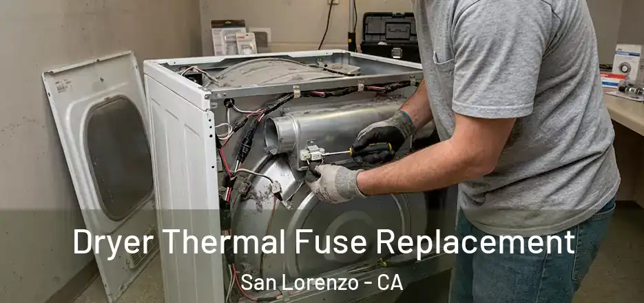  Dryer Thermal Fuse Replacement San Lorenzo - CA