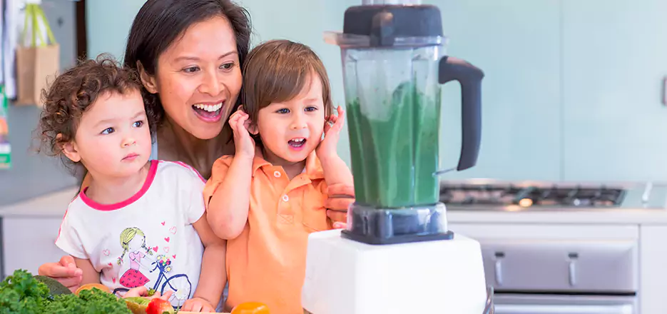Juicer and Mixer Blender Repair in San Lorenzo
