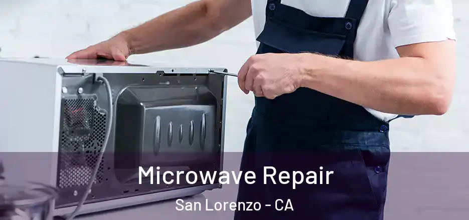  Microwave Repair San Lorenzo - CA