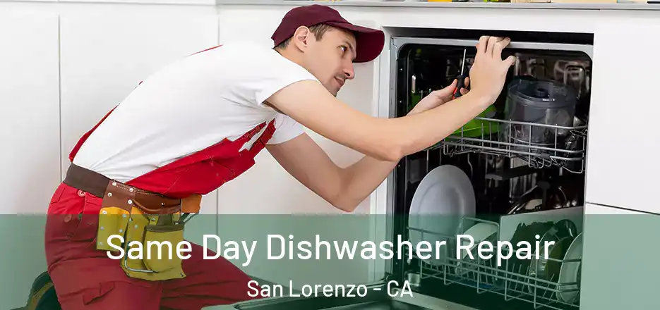  Same Day Dishwasher Repair San Lorenzo - CA
