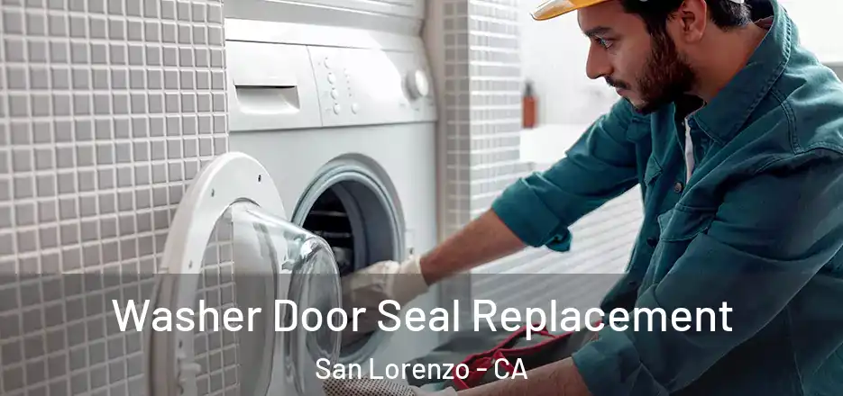  Washer Door Seal Replacement San Lorenzo - CA
